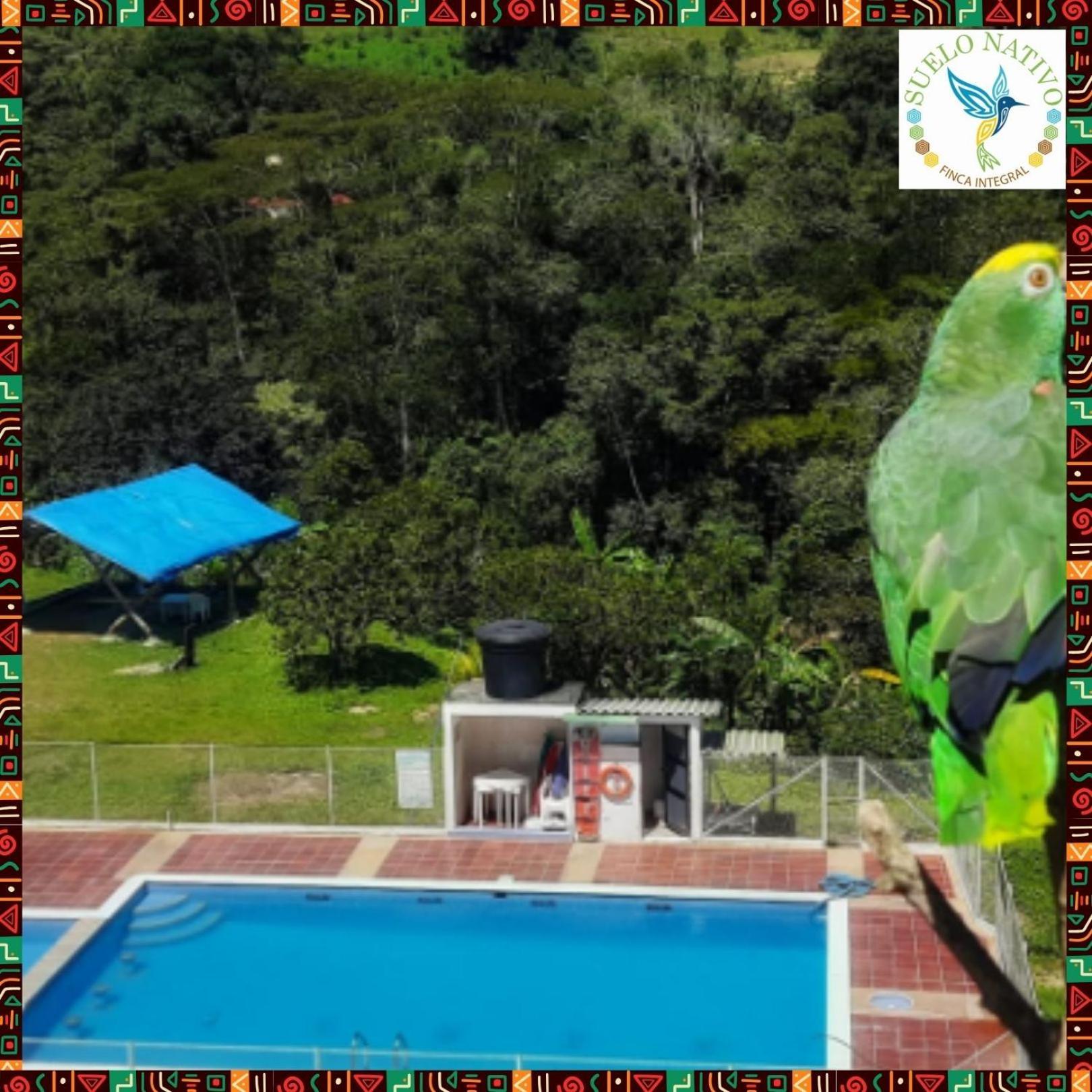 Hotel Finca Integral Suelo Natiivo "Integramos El Campo Con Tu Bienestar" Гуадуас Экстерьер фото