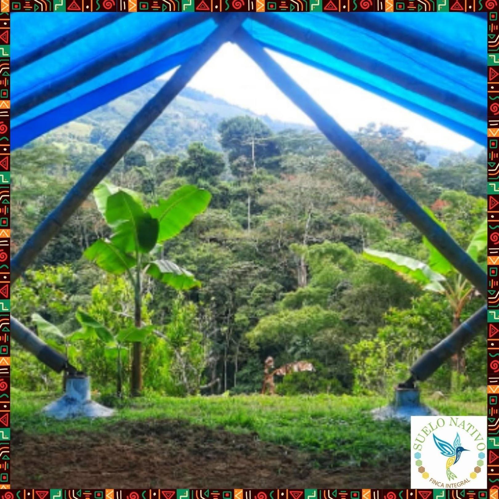 Hotel Finca Integral Suelo Natiivo "Integramos El Campo Con Tu Bienestar" Гуадуас Экстерьер фото