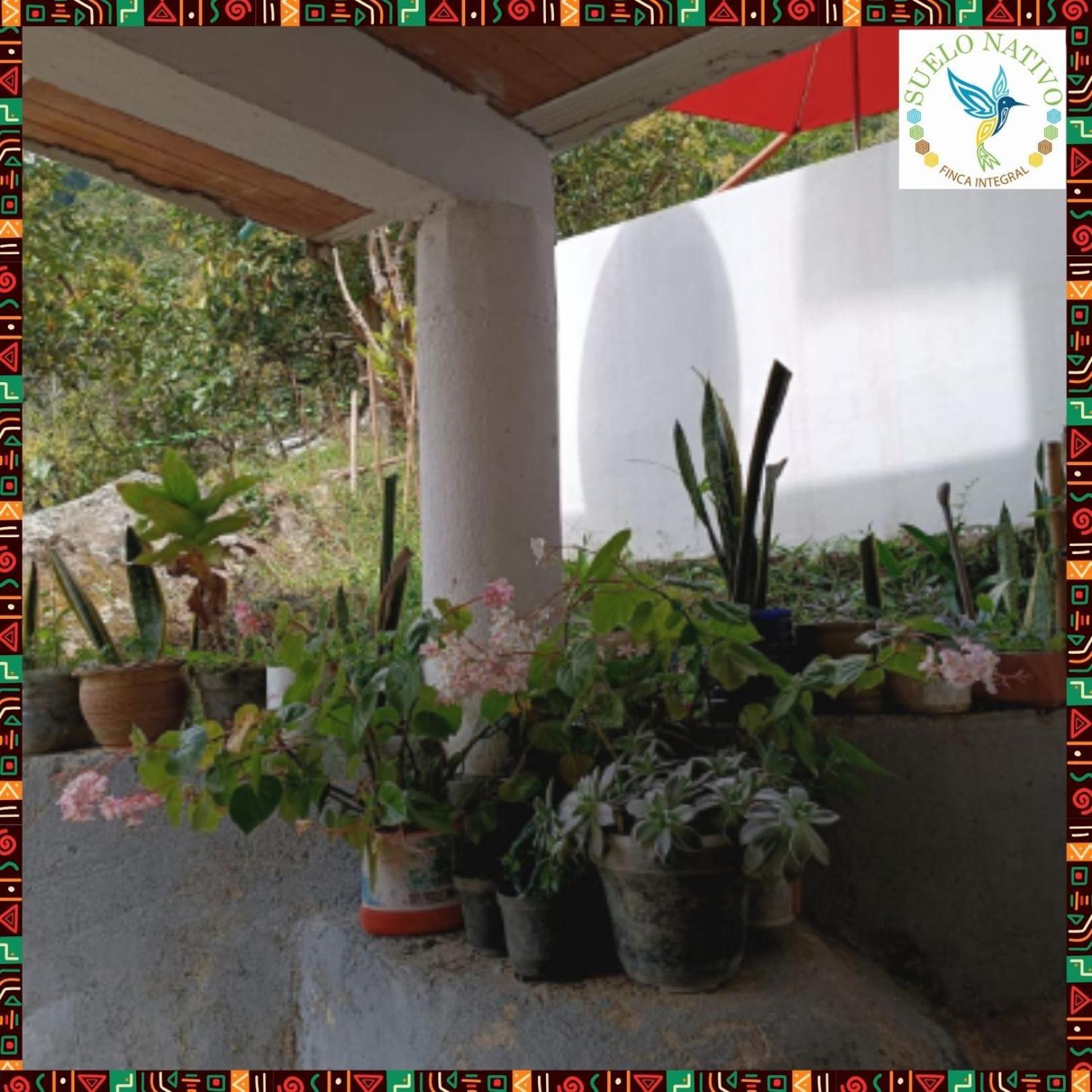 Hotel Finca Integral Suelo Natiivo "Integramos El Campo Con Tu Bienestar" Гуадуас Экстерьер фото